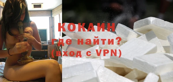 дмт Богданович