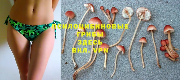 винт Беломорск