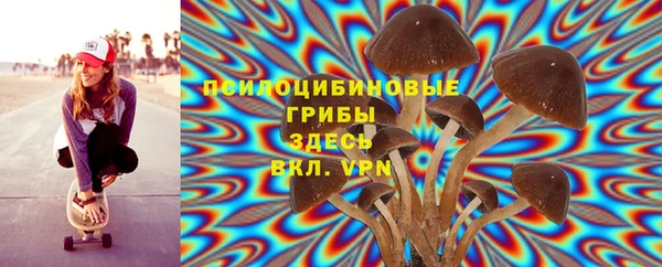 соль курить ск Богородск