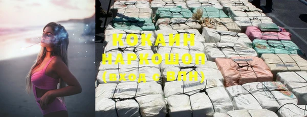 дмт Богданович